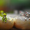 ボケ味！