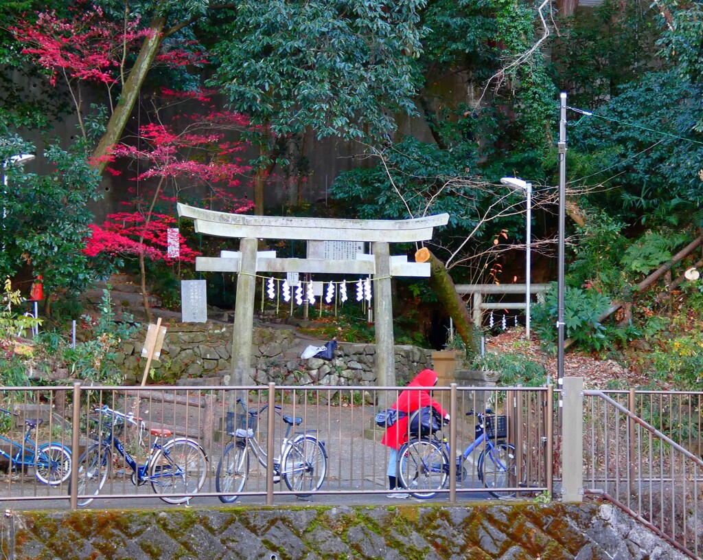 神社にサンタ？