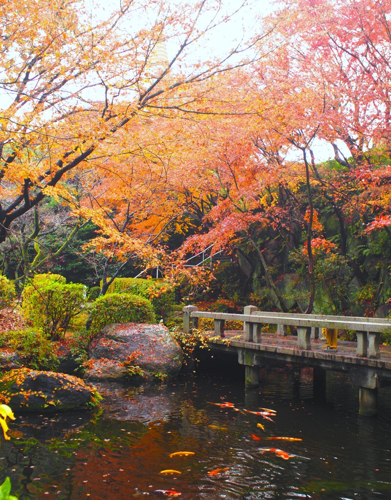 日本庭園