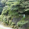 鎮守の森が崩落