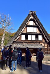 中高年グループも