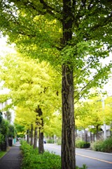 この道は