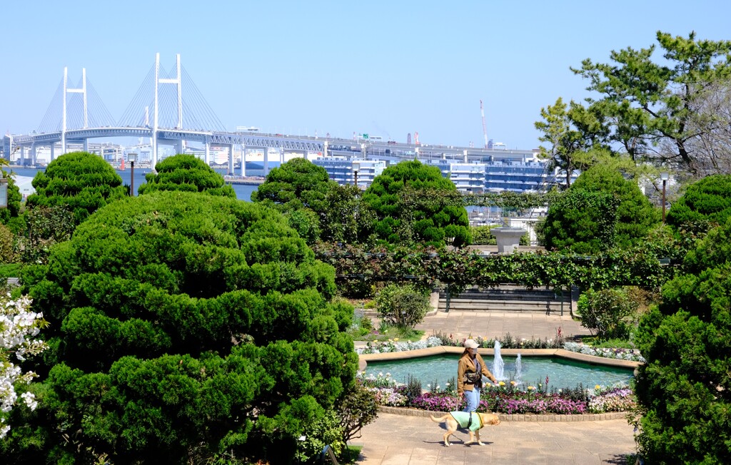 港の見える丘公園