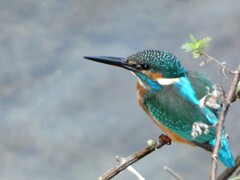 木枯しに吹かれて