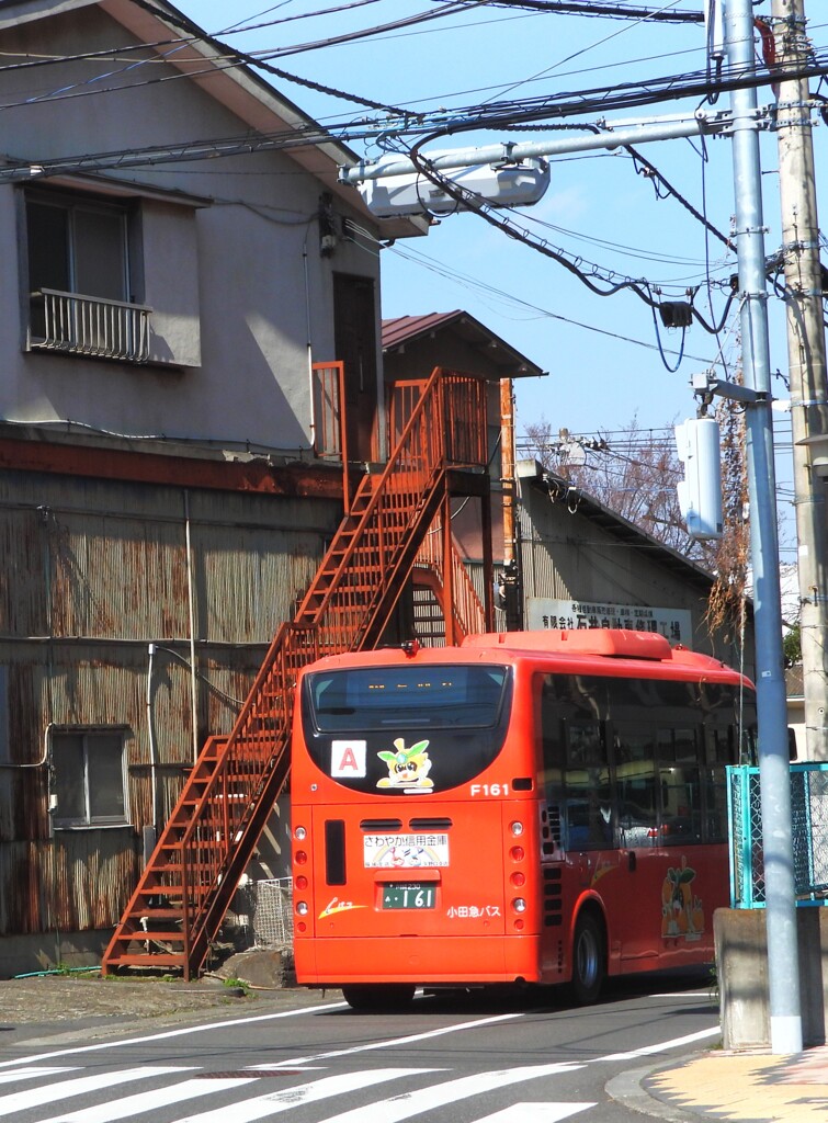 路地もどんどん入ります