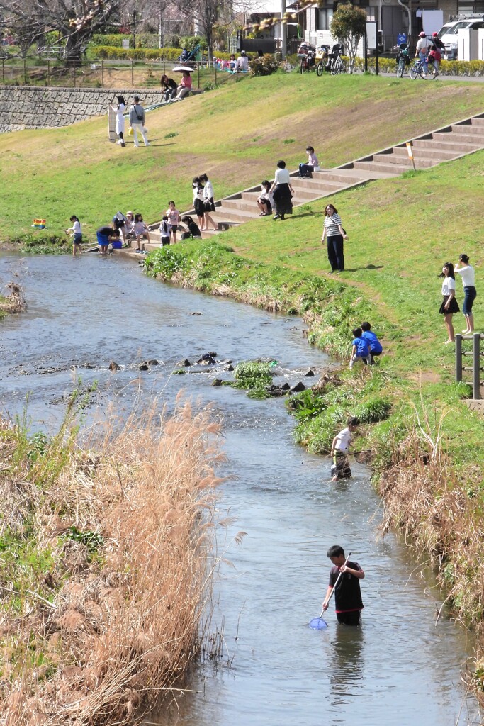 三沢川親水公園