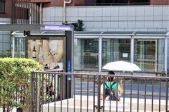 川口春奈だったのに