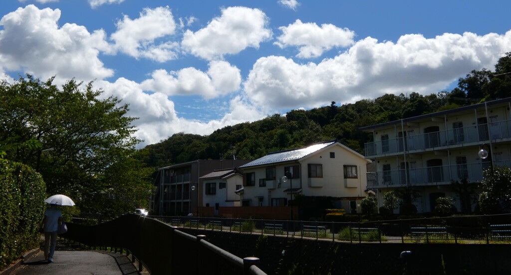 夏の散歩道