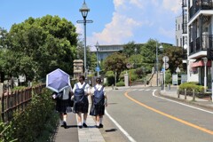 いつからでしょう
