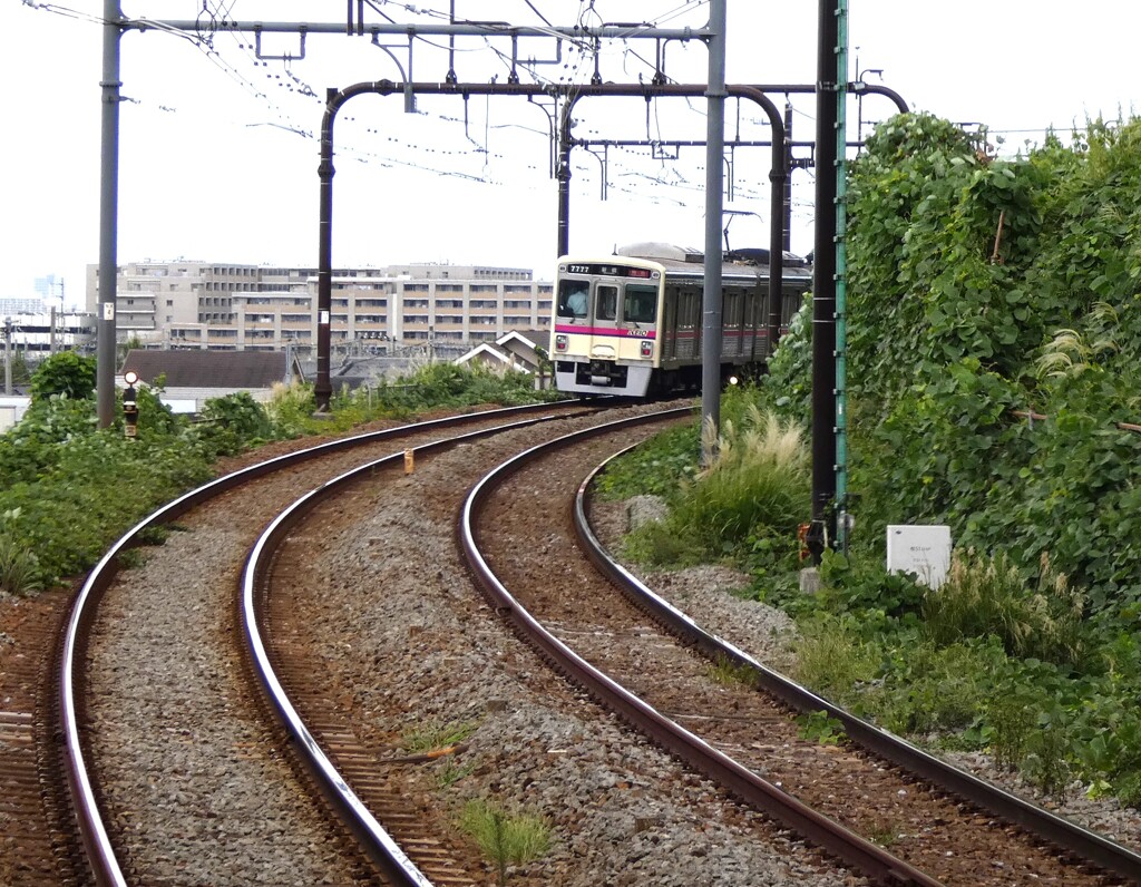 稲城駅を通過した京王相模原線