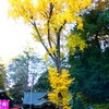 穴澤天神社