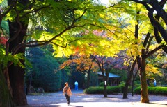 靖国神社　神池庭園