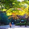 靖国神社　神池庭園