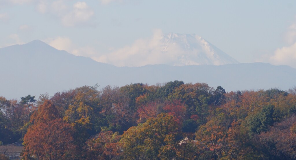 雪化粧の富士山