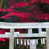 抜けられません