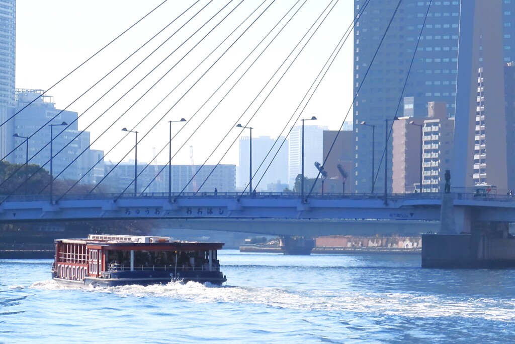 中央大橋と水上バス「竜馬」