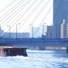 中央大橋と水上バス「竜馬」