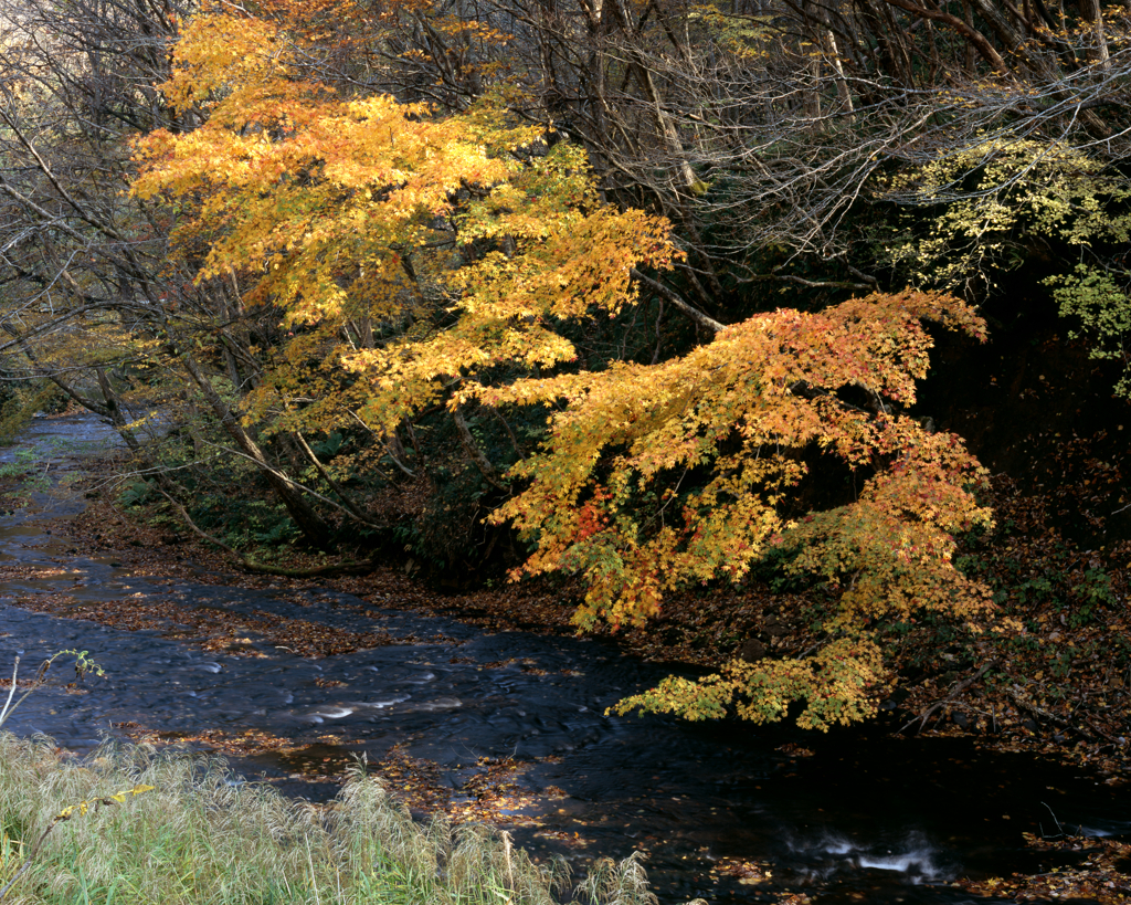 フィナーレに装う