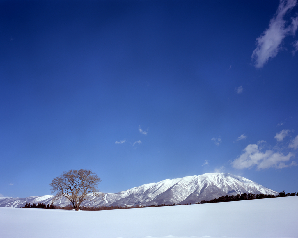 孤高