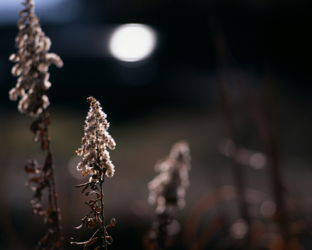 最終幕のきらめき