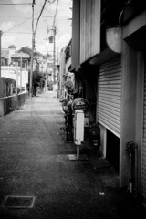 暑いですね。
