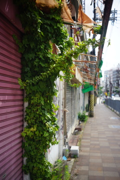 高架下商店街