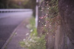 近所