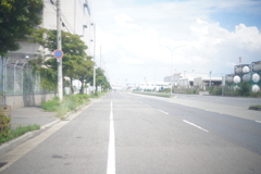 1枚だけ。
