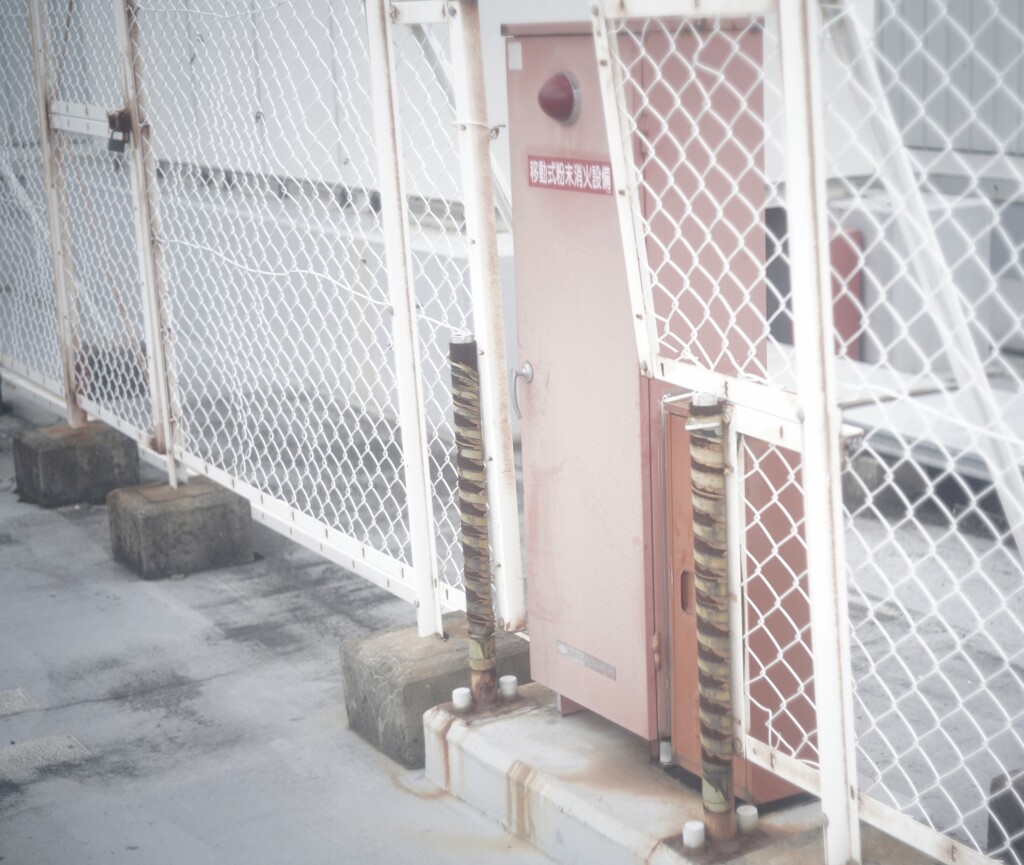 屋上