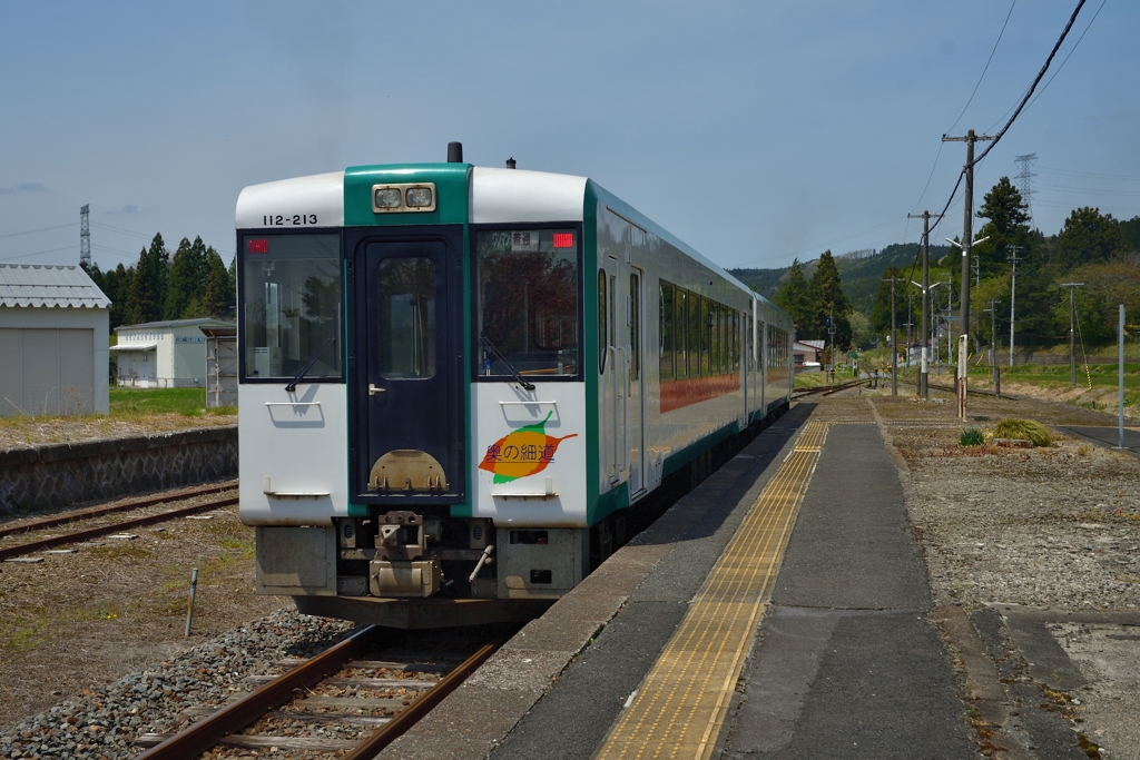 25050151