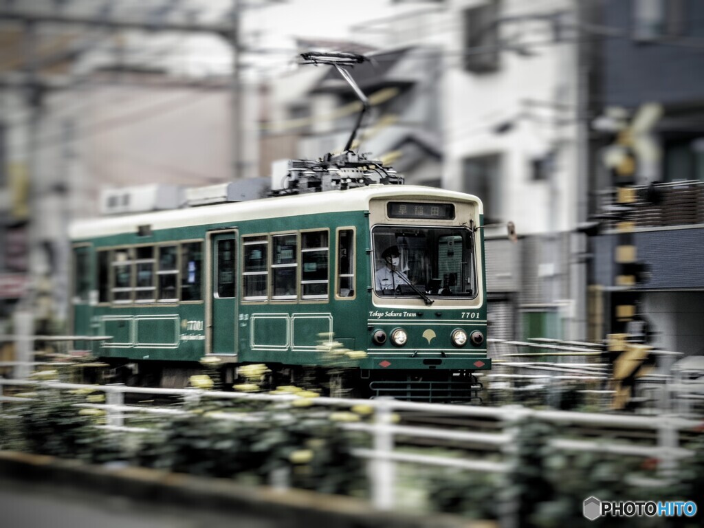 疾走！さくらトラム