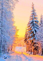 冬の景色