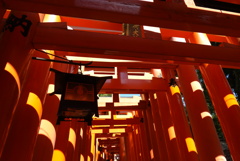 京都　伏見稲荷神社