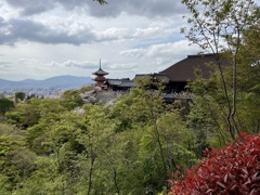 京都　清水寺　と　街並み
