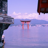 厳島神社　大鳥居