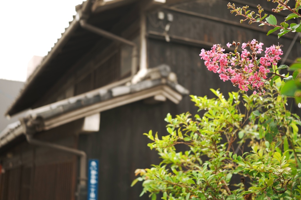 名古屋  四間道の町並み