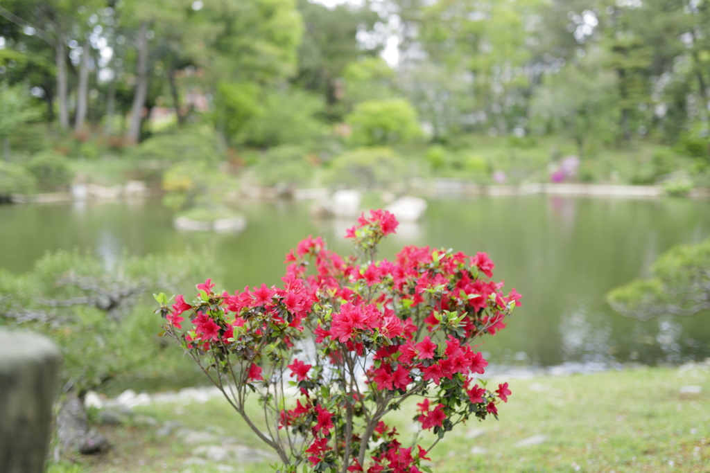 縮景園