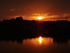 夕日
