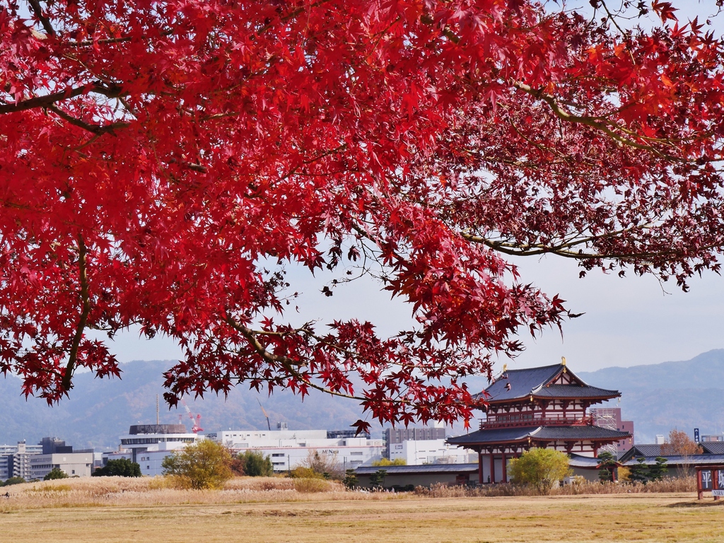 平城京晩秋(紅葉)