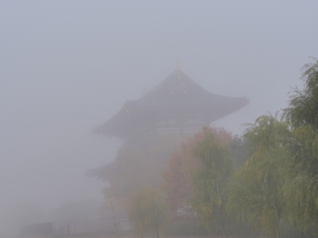 朝霧の平城京1