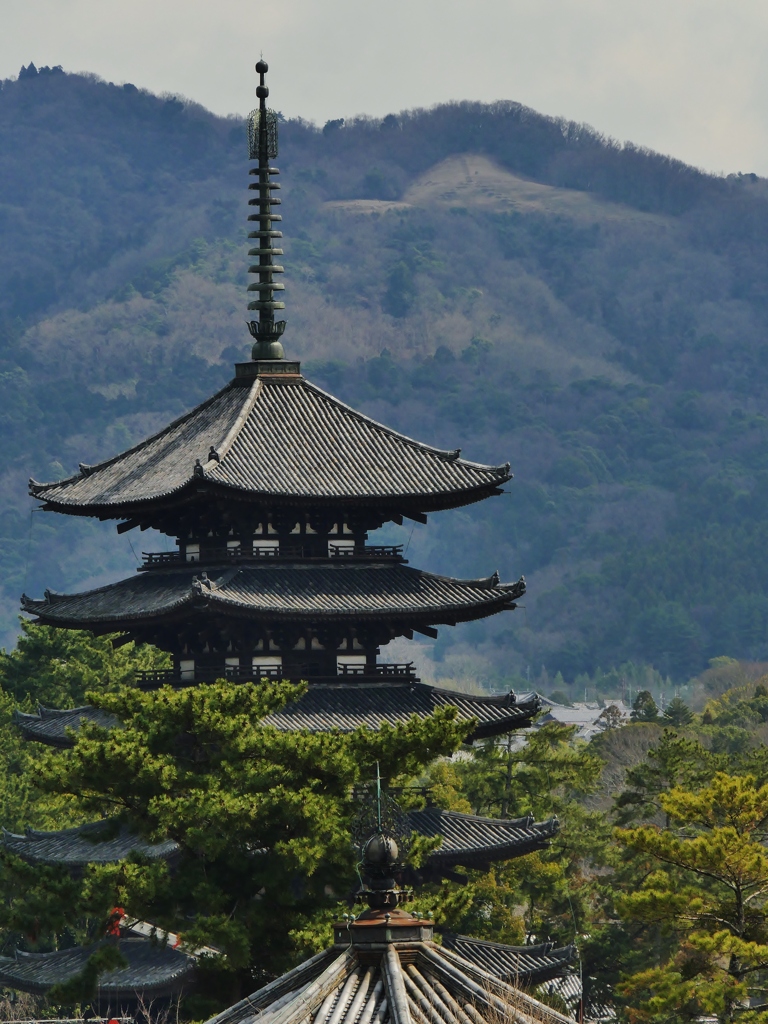 古都奈良・興福寺 2