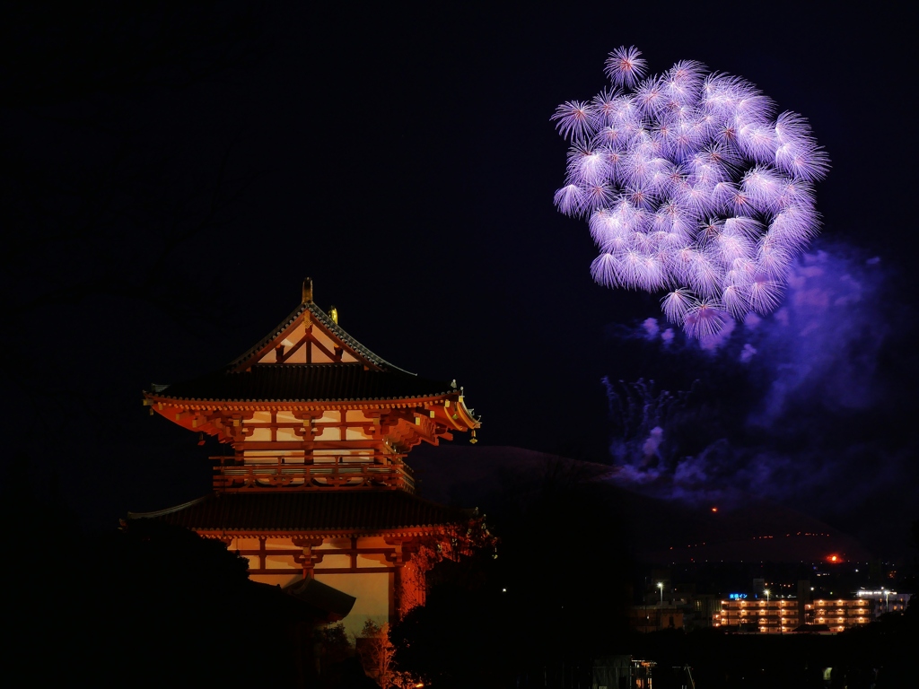 奈良・若草山山焼き 10