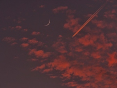 夕焼け雲と細い月と飛行機雲と・・。
