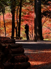 丹波篠山・高蔵寺シルエット