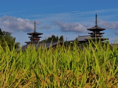 薬師寺二塔