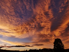 西の空の夕焼け