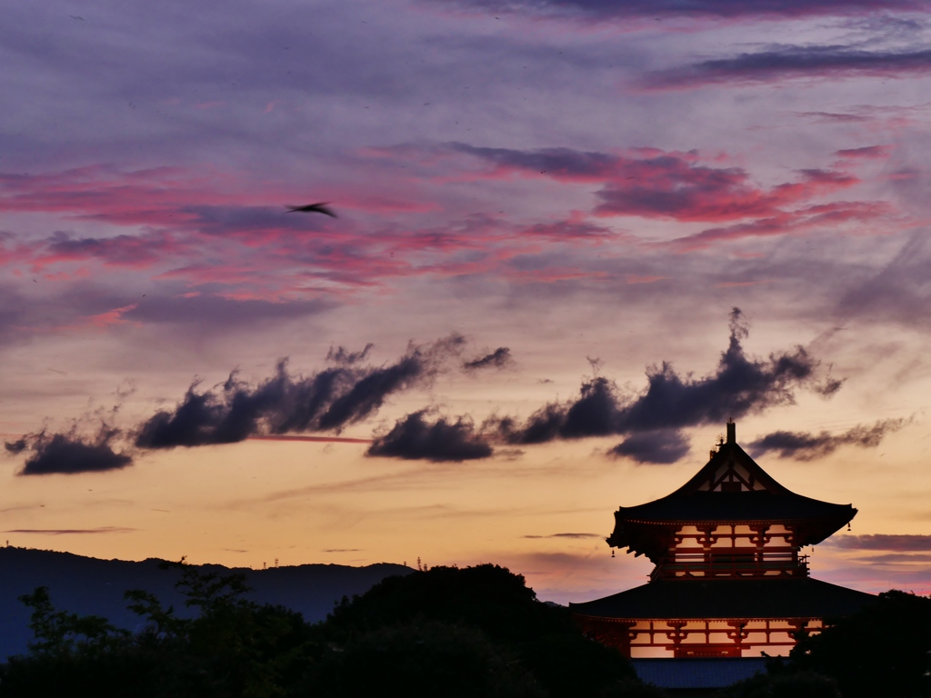 妖艶・平城京の夕 3