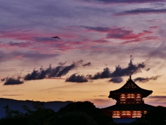 妖艶・平城京の夕 3