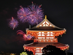 奈良公園バースディ花火3