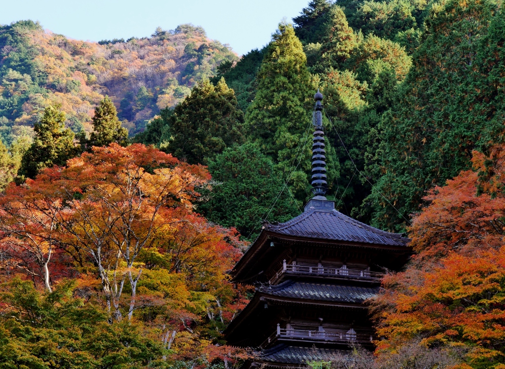 丹波篠山高源寺・三重塔紅葉3